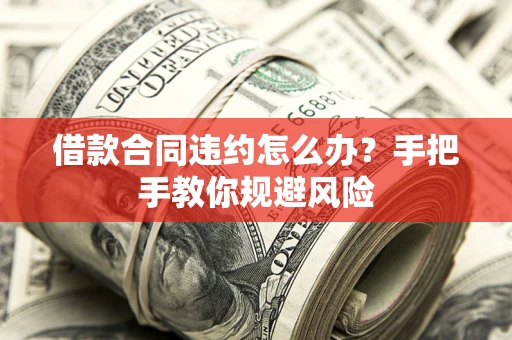 武汉借款合同违约怎么办？手把手教你规避风险