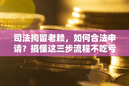 武汉司法拘留老赖，如何合法申请？搞懂这三步流程不吃亏！
