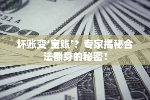 武汉坏账变‘宝账’？专家揭秘合法翻身的秘密！