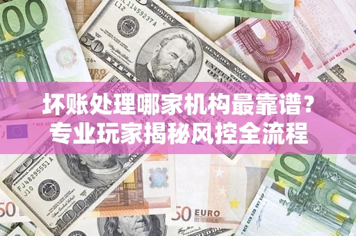 武汉坏账处理哪家机构最靠谱？专业玩家揭秘风控全流程
