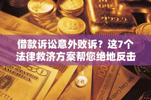 武汉借款诉讼意外败诉？这7个法律救济方案帮您绝地反击！