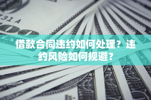 武汉借款合同违约如何处理？违约风险如何规避？