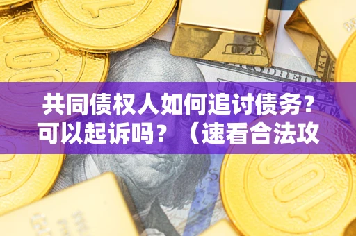 武汉共同债权人如何追讨债务？可以起诉吗？（速看合法攻略）