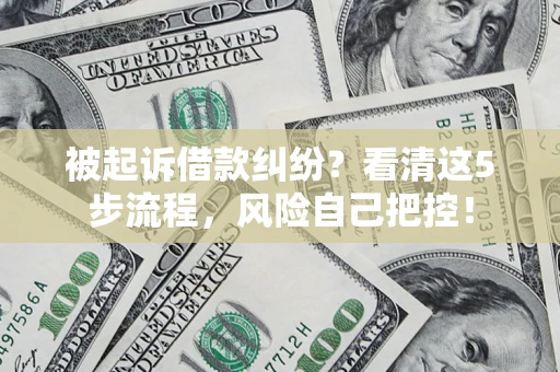 武汉被起诉借款纠纷？看清这5步流程，风险自己把控！