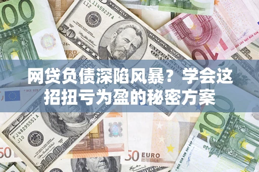 武汉网贷负债深陷风暴？学会这招扭亏为盈的秘密方案